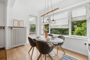 Up to 6 people directly at the park Apartment in Wilhelmshaven