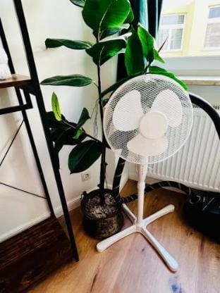 2-4人，明亮的一居室公寓 CASA CLARA - Kitchen - SmartTV Apartment in Magdeburg