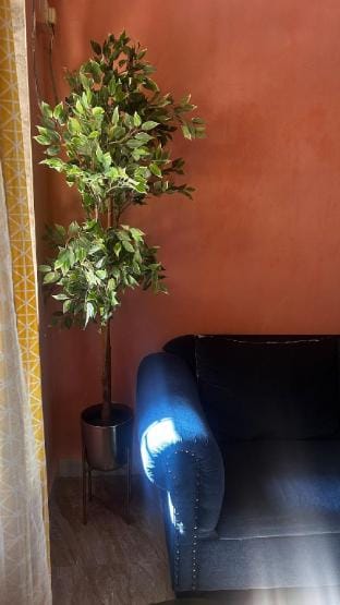2 BHK Luxe Bunkhome in Khar (Families & Friends) Apartment in Mumbai