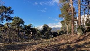Ô Bercail Country House in Sierre