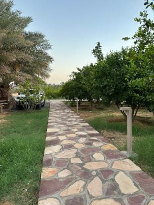 Chalet with garden view Vacation rental in Al Madinah Province