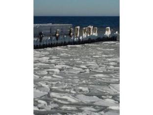 One-bedroom apartment Vacation rental in Zingst