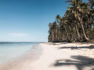 Beachfront Haven • Balcony + Rooftop Panorama Vacation rental in Siargao Island