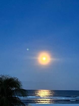 Beachfront Haven • Balcony + Rooftop Panorama Vacation rental in Siargao Island