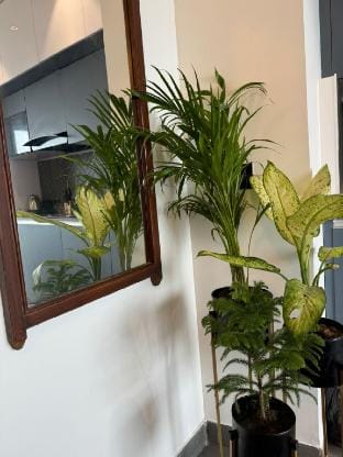 41st Floor Luxury Stay | River & City View Vacation rental in Noida