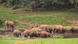 Snowcrist cottages munnar Vacation rental in Kerala