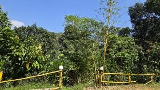 Idam Homestay near Munnar Vacation rental in Kerala