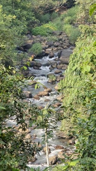 Idam Homestay near Munnar Vacation rental in Kerala