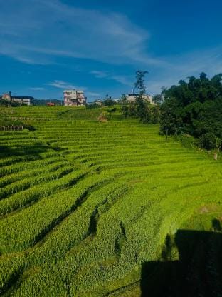 Bhaktpaur Yog Homestay  Vacation rental in Bagmati Province, Nepal