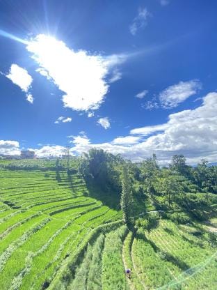 Bhaktpaur Yog Homestay  Vacation rental in Bagmati Province, Nepal