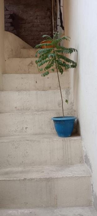 Arjun Homestay Vacation rental in Uttar Pradesh