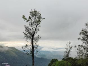 Greenhills Homestay  Vacation rental in Karnataka