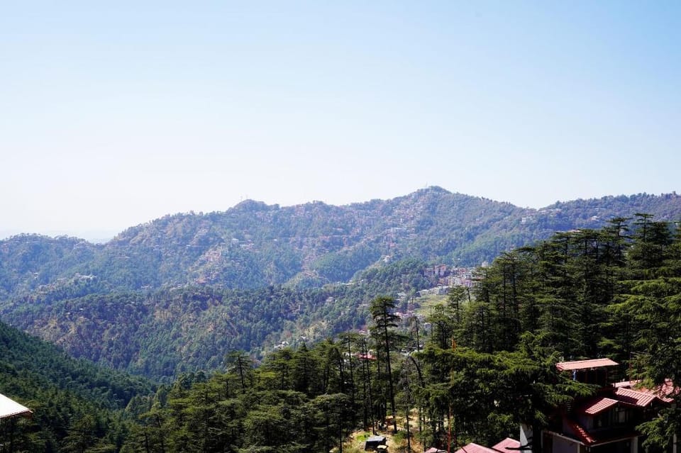 Hotel Himalayan Roots Hotel in Shimla