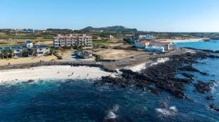 Udo Daol Pension Bed and Breakfast in South Korea