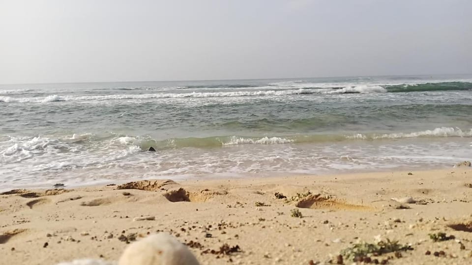 Luxury Living Villas Hotel in Southern Province