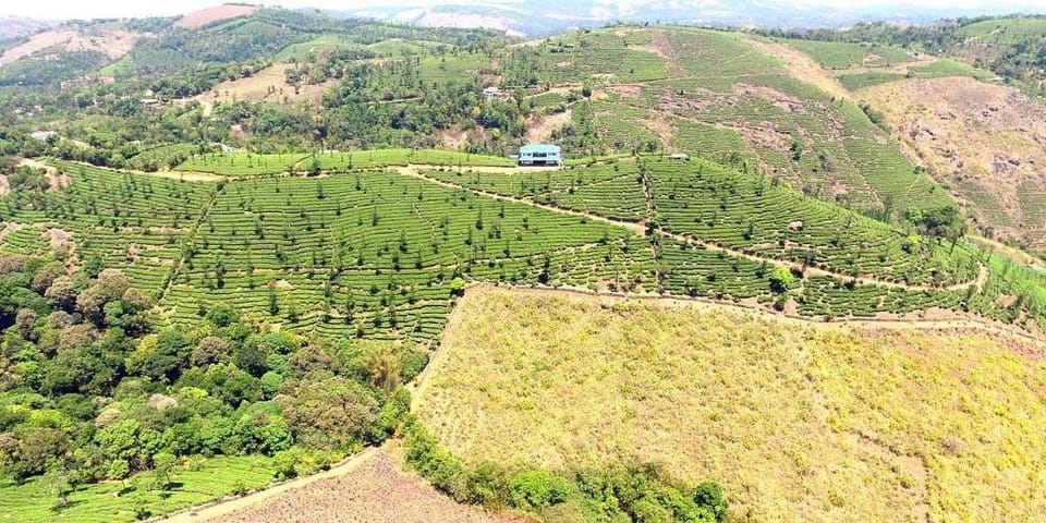 CLIFF INN MOUNTAIN STAY Hotel in Kerala