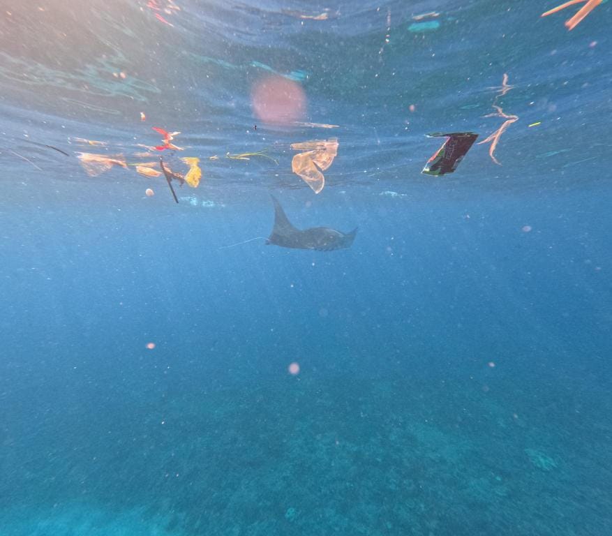 Superman snorkling trip Hotel in Nusapenida