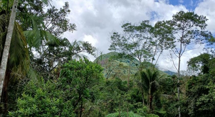 Entre Árvores Ecolodge Paraty Hotel in State of Rio de Janeiro