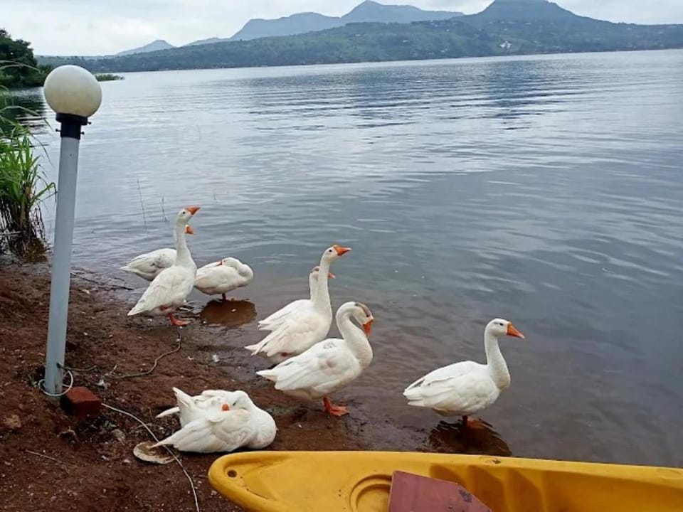 Kinara Pawna Lake Camping Lonavala Maharashtra Hotel in Maharashtra