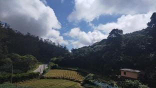 Cool Feel Rest And Cafe  Apartment in Nuwara Eliya
