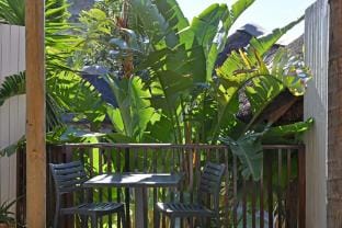 Charming Sea Point 1 Bed with Leafy Patio Apartment in Sea Point