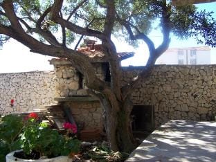 Studio apartman Maslina in Zaglavice with great view Apartment in Split-Dalmatia County