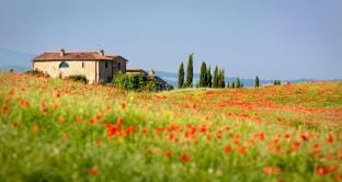 Great accommodation with a lovely patio Apartment in Veneto