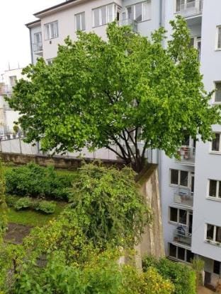 KEY Accommodation Pellicova Apartment in Brno