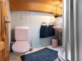 Le Grenier ALTYPIC Country House in Bagnes