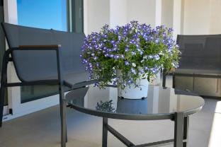 Dara Holiday Apartment, 204 Vacation rental in Marsala