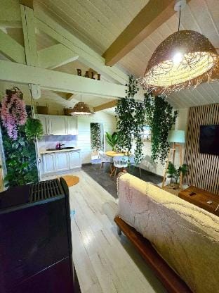The "Bali" Chalet between Lake and Mountain Vacation rental in Haute-Savoie