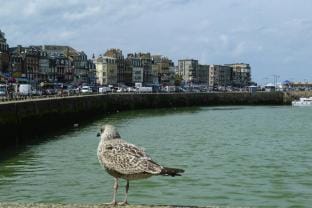 Townhouse near Bay of Somme and Beaches Vacation rental in Normandy