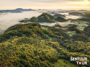 Herbal Apartment Marjetka Vacation rental in Slovenia