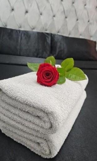 Jacuzzi Suite Toulouse Vacation rental in Toulouse