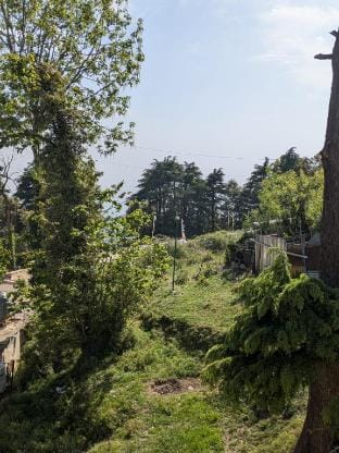Sahil Cottage/Rana house Vacation rental in Himachal Pradesh