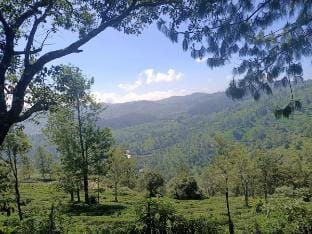 Lilly Villa Ooty – GNM Resorts by Honeybee Vacation rental in Tamil Nadu