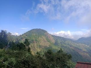 Lotus Villa Ooty - GNM Hill Top Villas by Honeybee Vacation rental in Tamil Nadu