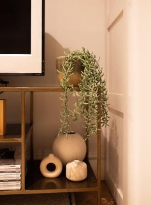 Stunning townhouse apartment in central Cambridge Vacation rental in Cambridge