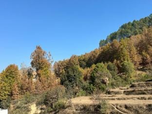 Aharnisham 
अहर्निशम्
Calm, Comfort and Serenity Vacation rental in Uttarakhand