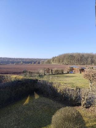 Eulenburg am Reuthsee – Nurdachhaus with garden Vacation rental in Bavaria