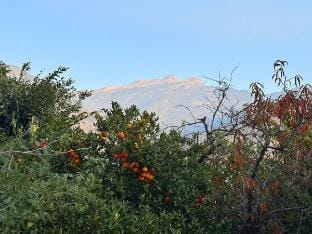 Mighty Home  Vacation rental in Uttarakhand
