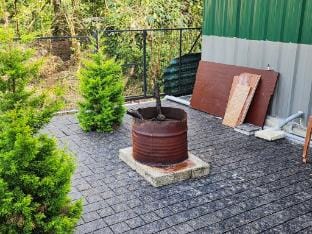 Talia Farm house Farm Stay in Kerala