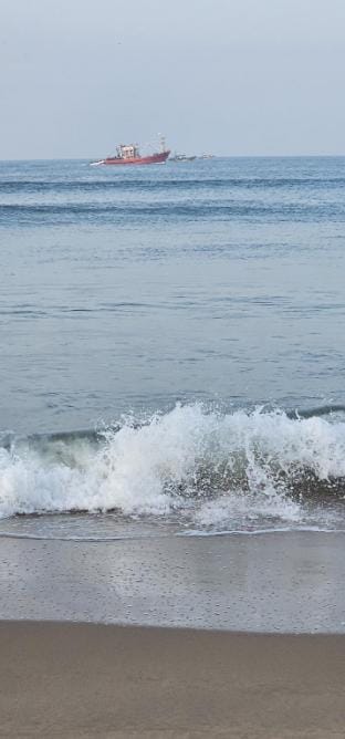 Beachgarden Farm Stay in Karnataka