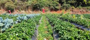 Woodland Farm Stay Karjat Maharashtra Farm Stay in Maharashtra