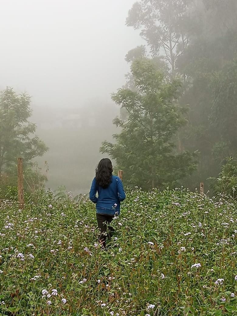 Lone Tree Creek Vacation rental in Kerala