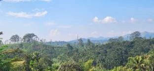 KARMALHILLS HOMESTAY  Vacation rental in Kerala