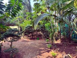 Independent Garden Facing Cottage near Palolem Beach Vacation rental in Canacona