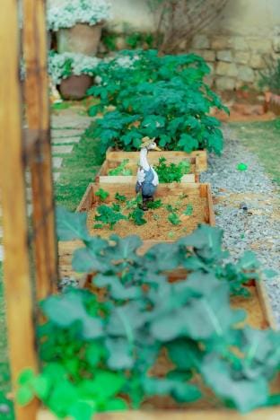 Little Garden homestay Vacation rental in Dalat