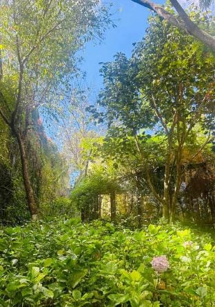 ZEN GARDEN VILLA DALAT Vacation rental in Dalat