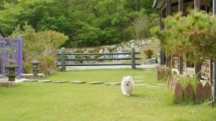 Hongcheon Vivaldi Four Seasons Pension Bed and Breakfast in South Korea